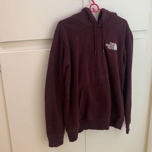 NORTH FACE hoodie
